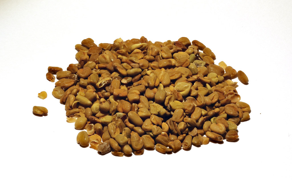 fenugreek